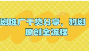 短剧推广干货分享，豹剧 1:1原创全流程-阿鑫