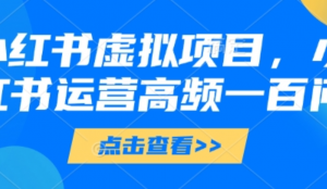 小红书虚拟项目，小红书运营高频一百问 【文档】-阿鑫