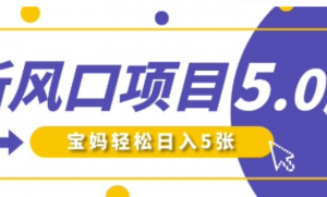新风口项目5.0版,即梦AI做爆款萌娃说话视频，单日涨粉2W+，新手宝妈轻松日入5张-阿鑫