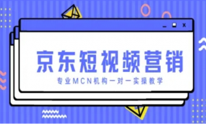 京东短视频营销项目，专业MCN机构一对 一实操教学-阿鑫