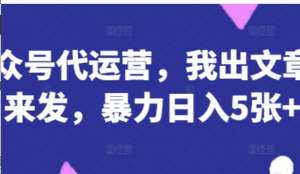 公众号代运营，我出文章你来发，暴力日入5张+【揭秘)-阿鑫