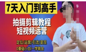 7天入门到高手，短视频剪辑运营高手课定位 运营 引|流 变现，0基础小白一学就会-阿鑫