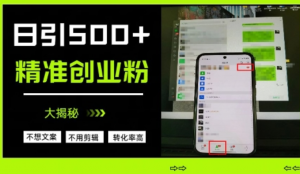 不需要我们去想文案，也不需要我们去剪辑视频，日引500+精准创业粉，方法大揭秘-阿鑫
