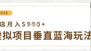 虚拟项目垂直玩法，实现单店月入5k+-阿鑫