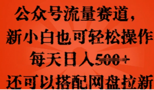 公众号流量赛道，新人小白也可轻松上手操作，每天日入100+，还可以搭配网盘拉新-阿鑫