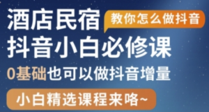 抖音本地生活酒店民宿运营，0基础也可以 做抖音增量-阿鑫