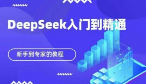 Deepseek快速从入门到精通，新手的保姆 级教程-阿鑫