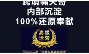 漫威跨境特训营-跨境电商教程-阿鑫