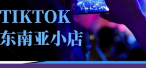 TIKTOK东南亚跨境小店运营班，TK小店运营教程 -阿鑫