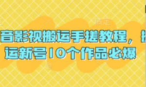 抖音影视搬运手搓教程，搬运新号10个作 品必爆-阿鑫