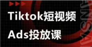 ADS视频投放课，TIKTOK短视频广告投放课-阿鑫