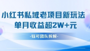 小红书私域项目新玩法，单月变现过W+-阿鑫