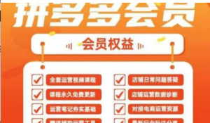 2025拼多多运营实战课，40节全流程教学，覆盖拼多多运营全链路-阿鑫