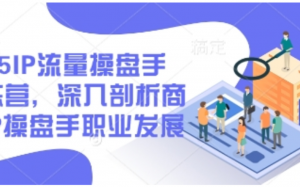 2025IP流量操盘手训练营,深入剖析商业 IP操盘手职业发展-阿鑫