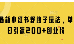 最新小红书野路子玩法，单日引流200+创 业粉-阿鑫