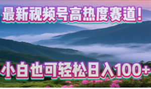 视频号爆款新赛道，AI生成怀日老哥视频零门槛操作，日收益100+-阿鑫
