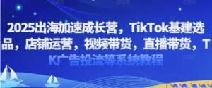 TikTok基建选品,店铺运营,视频带货,直播带货,TK广告投流等系统教程-阿鑫
