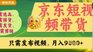 京东短视频带货，开启零门槛躺Z新时代 【揭秘】-阿鑫