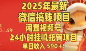 2025年最新微信搞钱项目，闲置视频号年24小时挂G托管项目，单日收入多张-阿鑫