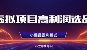 虚拟项目高利润选品方法，做好单店利润1W+，可多店倍增利润-阿鑫