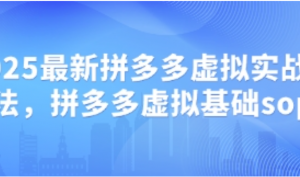 2025最新拼多多虚拟实战打法，拼多多虚 拟基础sop-阿鑫