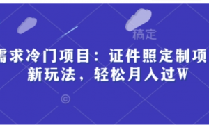 高需求冷门项目:证件照定制项目最新玩法，轻松月入过W-阿鑫