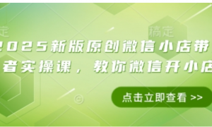 2025新版原创微信小店带货者实操课，教你微信开小店-阿鑫