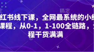小红书线下课，全网最系统的小红书课程从0-1，1-100全链路，全程干货满满-阿鑫