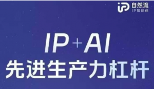 25年自然流AI智能体线下课程，IP+AI先进生产力杠杆(官方笔记+全套课件+完整录音)-阿鑫