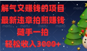 解气又挣钱的项目，最新违章拍照挣钱，随手一拍，轻松收入数张-阿鑫