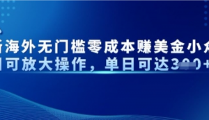 最新海外无门槛美金小众项目可放大操作单日可达3张-阿鑫