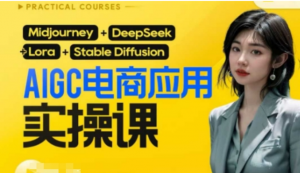 Al电商应用实操课(加更DeepSeek)保姆级 喂饭教程，从0-1用AI做电商-阿鑫