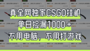 真全网独家CSGO挂G，单日捡漏1k+【揭秘】-阿鑫