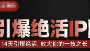 引爆绝活IP训练营，14天引爆绝活，放大你的一技之长-阿鑫