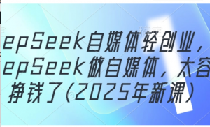 DeepSeek自媒体轻创业，用DeepSeek做自媒体，太容易挣钱了(2025年新课)-阿鑫