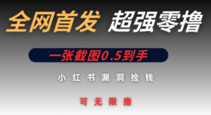 全网首发无限零撸捡钱项目，小红书一张截图0.5元可无限零撸-阿鑫