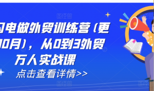 AI闪电做外贸训练营(更新25年4月)，从0到3外贸万人实战课-阿鑫