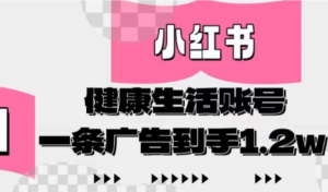 小红书AI健康生活账号，作品制作简单好变现，一条广告到手1.2w-阿鑫