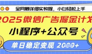 2025微信广告掘金计划，小程序+公众号双管齐下，单日稳定变现过干【揭秘】-阿鑫