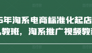 2025年淘系电商标准化起店流程私教班淘系推广视频教程-阿鑫