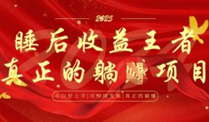 全网首发，面试辅导项目，每月被动收益，自己做老板，全流程AI化，轻松月入过W+-阿鑫