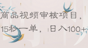 商品视频审核项目，15秒一单，日入100+-阿鑫