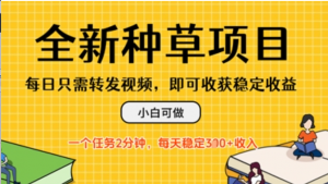 全新种草项目，每日只需转发视频，每天随时做任务，一个任务2分钟，每天3张+收入，小白可做-阿鑫
