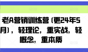 老A营销训练营(更25年4月),轻理论,重 实战,轻概念,重本质-阿鑫