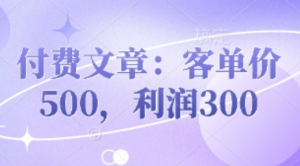 付费文章:客单价500，利润300-阿鑫