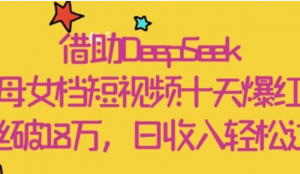 借助DeepSeek，母女档短视频十天爆红粉丝破18W，日收入轻松几张-阿鑫