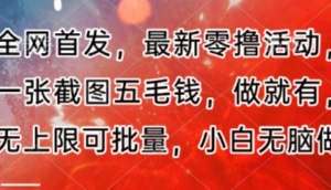 全网首发，最新零撸活动，一张截图五毛钱，做就有，无上限可批量，小白无脑做流程+官方免费渠道)-阿鑫