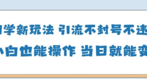 国学新玩法，引流不封号不违规小白也能操作，当日就能变现-阿鑫