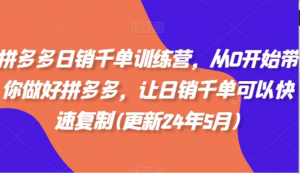 拼多多日销干单训练营，从0开始带你做好拼多多，让日销干单可以快速复制(更新25年4月)-阿鑫