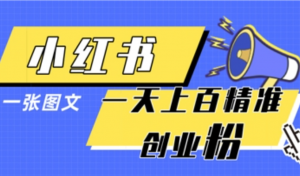 小红书模版一张图片一天轻松引流上百创业 粉-阿鑫